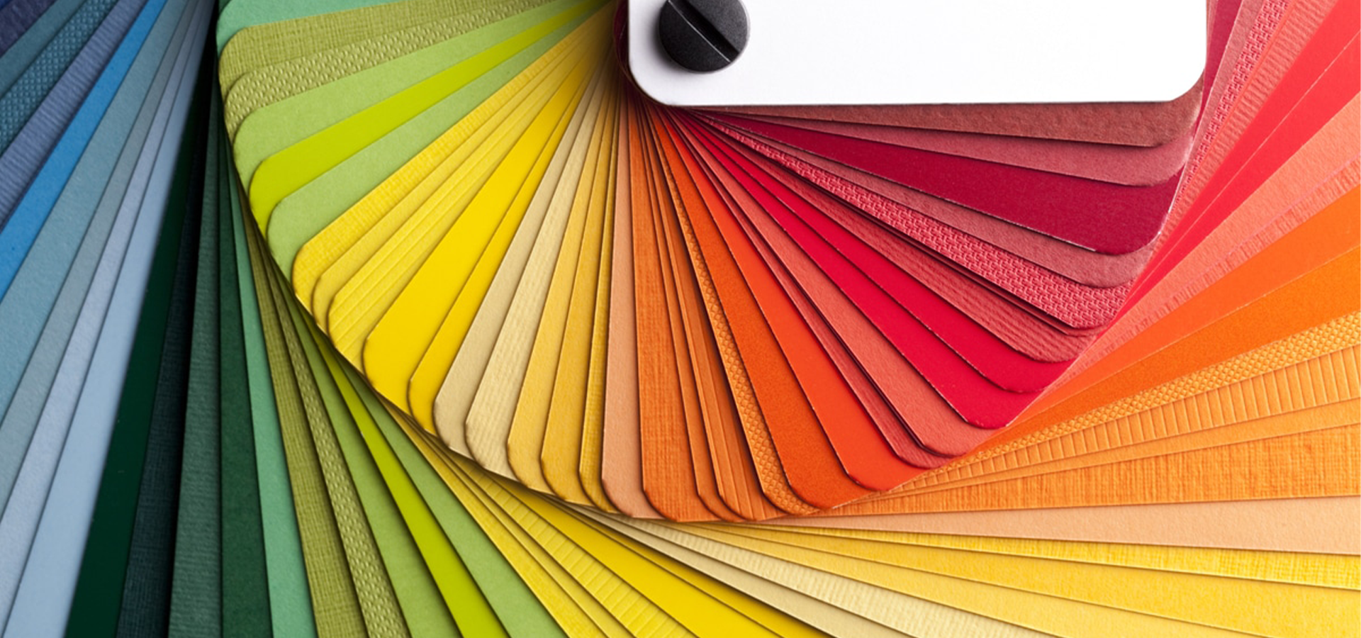 Color swatches and white card showcasing a vibrant rainbow of colors. Perfect for artistic inspiration.